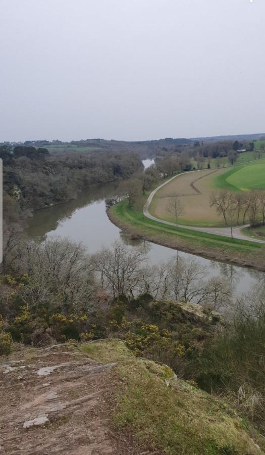La Halte De La Vilaine Sainte-Anne-sur-Vilaine Zewnętrze zdjęcie
